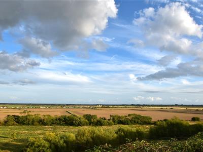 Picture 22